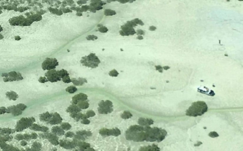 Los pescadores pasaron cinco días en el techo de un automóvil, huyendo de los cocodrilos Los pescadores pasaron cinco días en el techo de un automóvil, huyendo de los cocodrilos