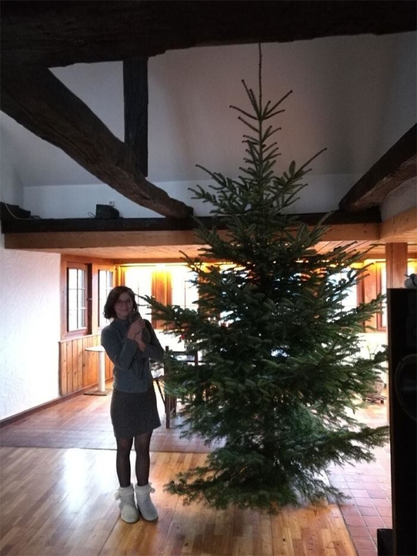 Los placeres y desafíos de la vida en un castillo medieval 1482