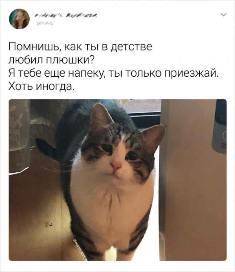 Los principales memes de 2019, de los que seguiremos riéndonos en 2020