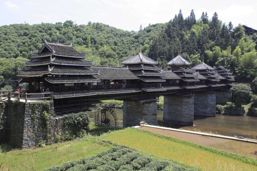 Los puentes peatonales más bellos del mundo