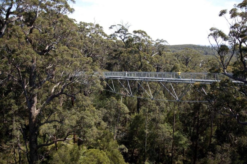 Los puentes peatonales más bellos del mundo
