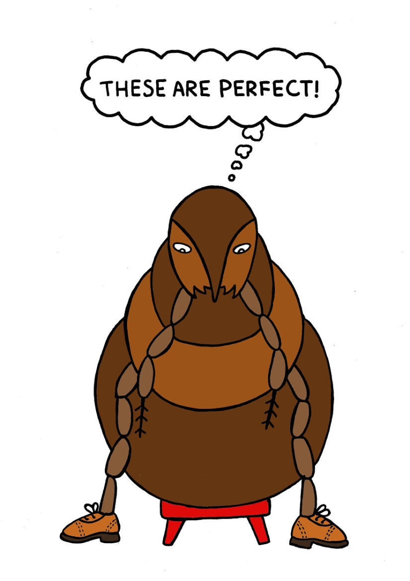 "Los rusos no almuerzan — matan gusanos": 10 refranes a través de los ojos de los extranjeros