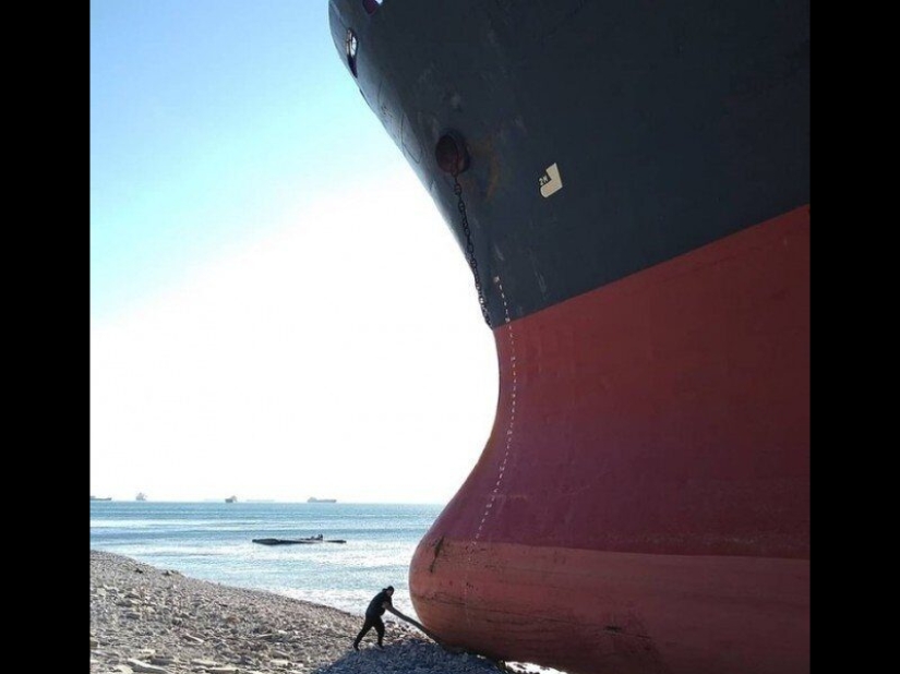 Los tamaños reales de algunas cosas: ¡20 ejemplos con comparación!