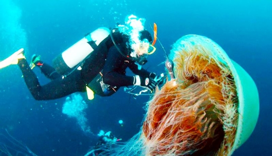 Los tamaños reales de algunas cosas: ¡20 ejemplos con comparación!