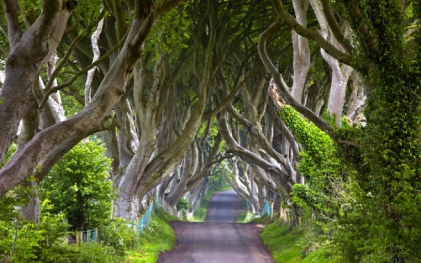 Lugares de series populares que puedes visitar Lugares de series populares que puedes visitar