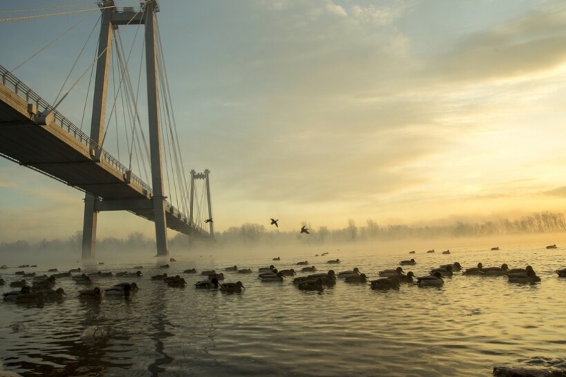 Los 15 lugares más bellos del territorio de Krasnoyarsk que te dejarán sin aliento Los 15 lugares más bellos del territorio de Krasnoyarsk que te dejarán sin aliento