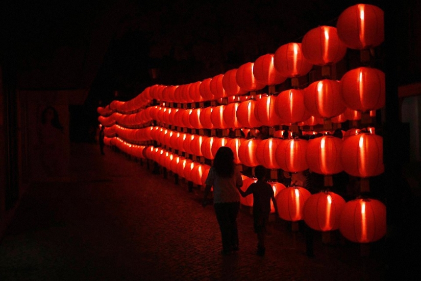 Lumina Light Festival 2014