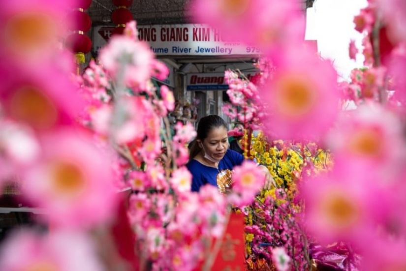 Lunar New Year Celebration 2022 - in Photos