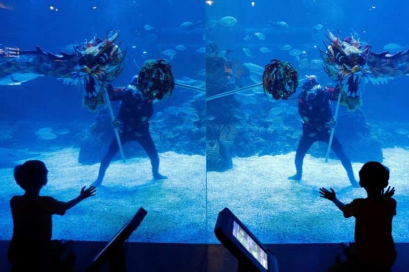 Lunar New Year Celebration 2022 - in Photos