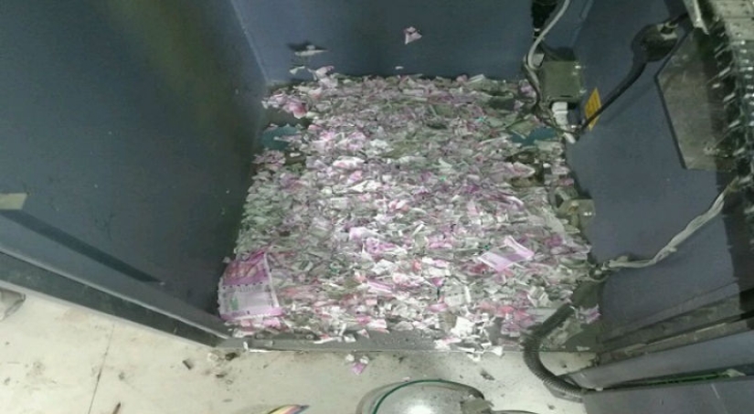 Lunch for a million: mice got into an ATM and ate all the money there Lunch for a million: mice got into an ATM and ate all the money there