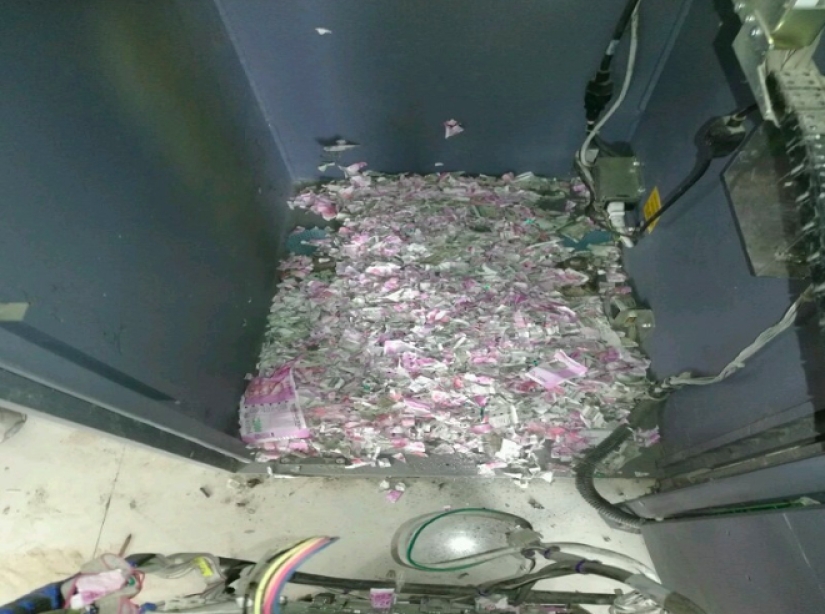 Lunch for a million: mice got into an ATM and ate all the money there Lunch for a million: mice got into an ATM and ate all the money there