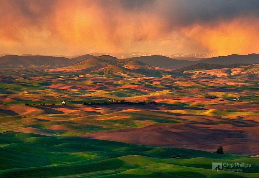 Magic Landscapes by Chip Phillips