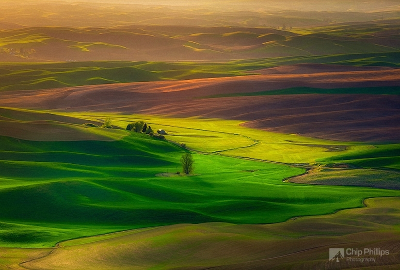 Magic Landscapes by Chip Phillips