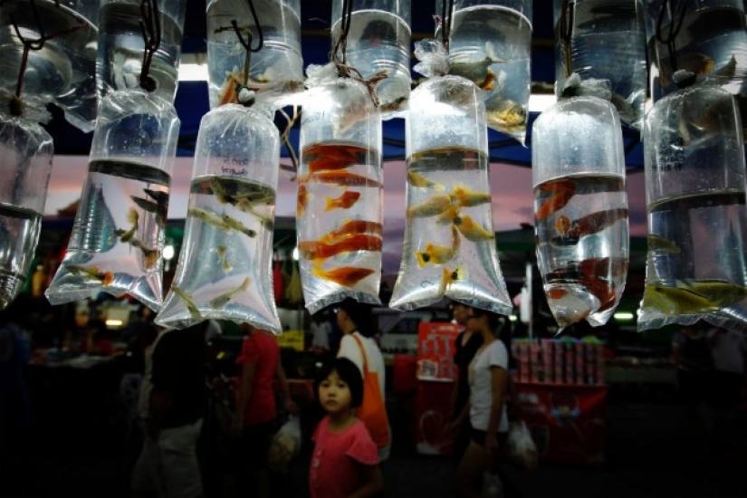 Malasia en imágenes