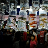 Malaysia in pictures