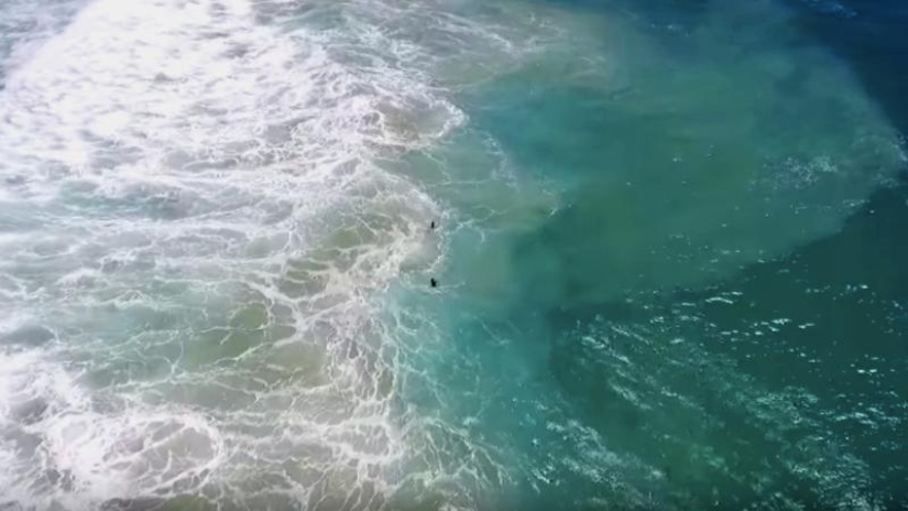 Malibu rescuers are no longer in business: in Australia, a drone saved drowning people for the first time