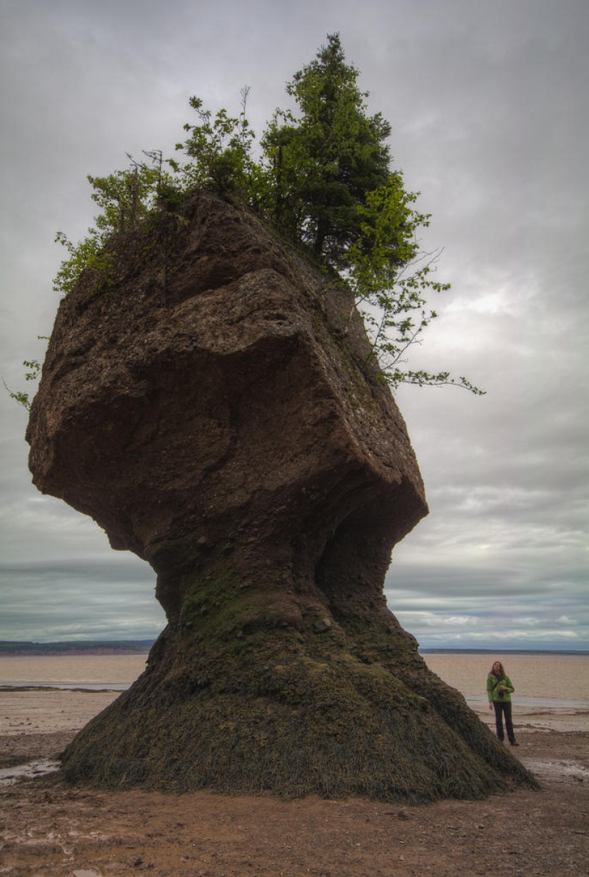 Maravilla natural-Rocas Hopewell en la Bahía de Fundy