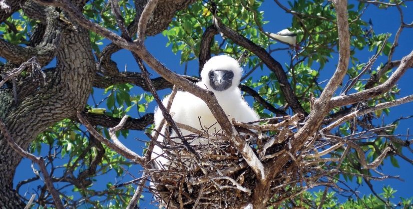 Marlon Brando's private island in French Polynesia