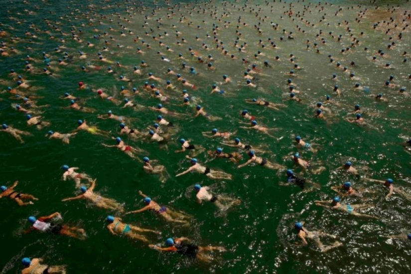 Mass swim blue caps in Lake Zurich Mass swim blue caps in Lake Zurich