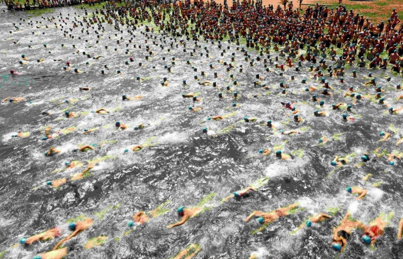 Mass swim blue caps in Lake Zurich Mass swim blue caps in Lake Zurich