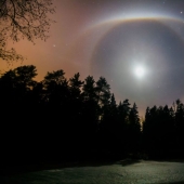 Mejores Fotos Científicas del Año: ganadores del Concurso de Fotografía Editorial de la Royal Society 2019