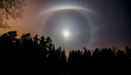 Mejores Fotos Científicas del Año: ganadores del Concurso de Fotografía Editorial de la Royal Society 2019