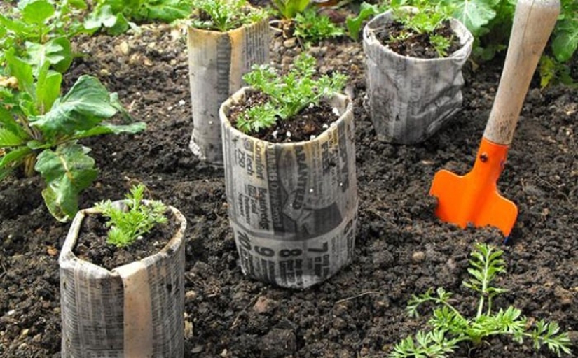 Memories from the past: 15 ways to use the newspaper you read Memories from the past: 15 ways to use the newspaper you read