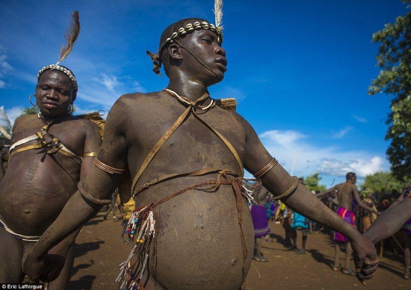 Men of the Ethiopian tribe drink blood with milk to get the title of the fattest inhabitant of the village Men of the Ethiopian tribe drink blood with milk to get the title of the fattest inhabitant of the village