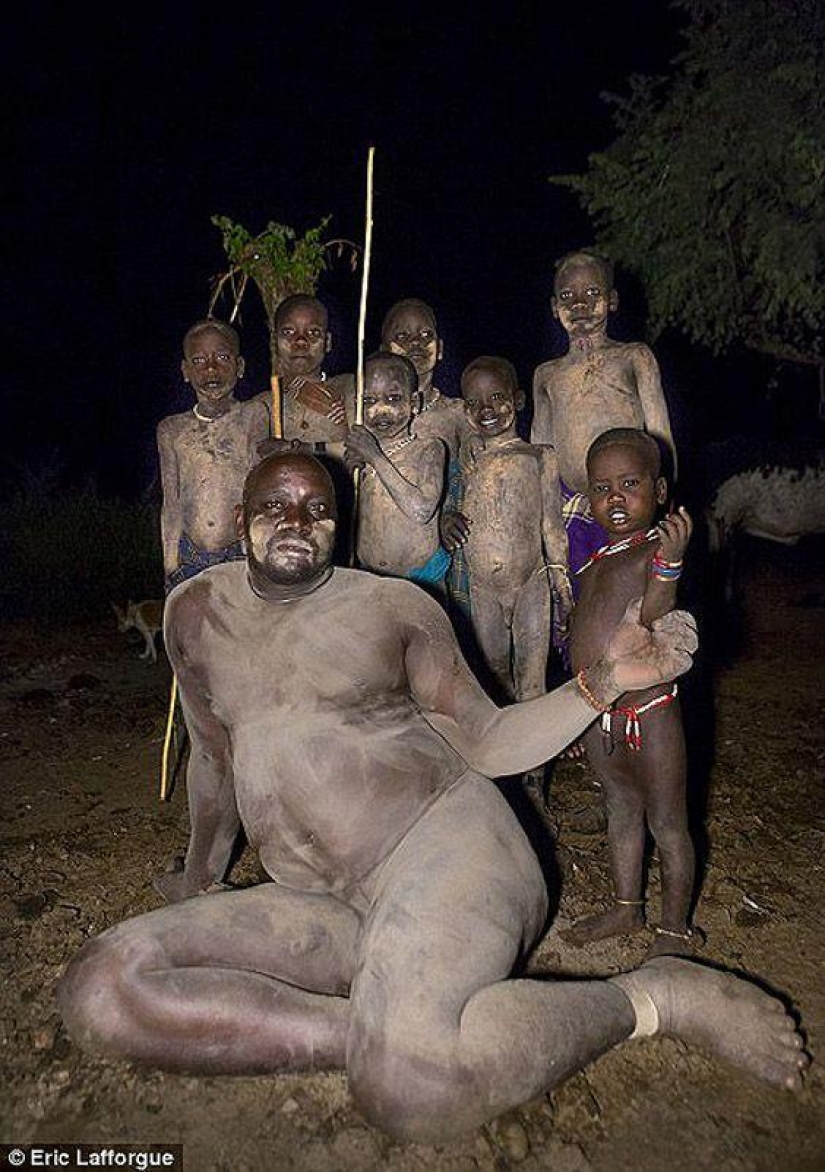 Men of the Ethiopian tribe drink blood with milk to get the title of the fattest inhabitant of the village Men of the Ethiopian tribe drink blood with milk to get the title of the fattest inhabitant of the village