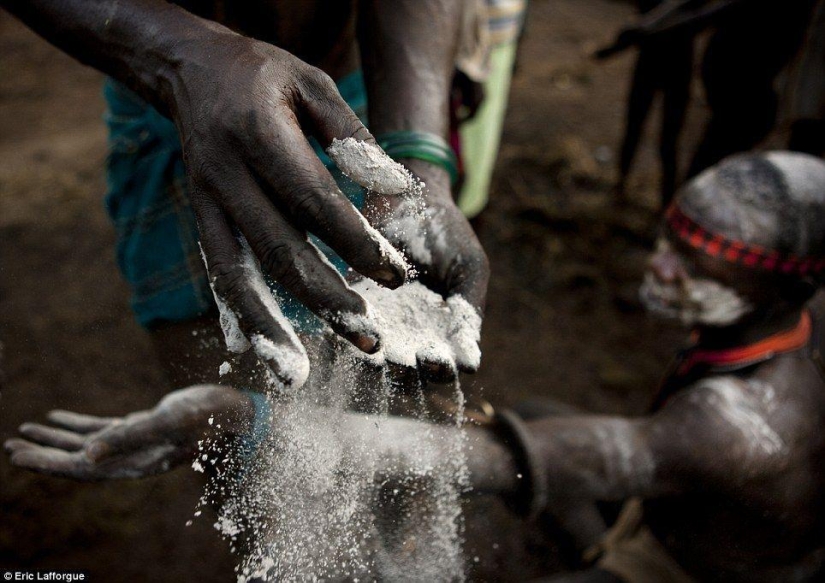 Men of the Ethiopian tribe drink blood with milk to get the title of the fattest inhabitant of the village Men of the Ethiopian tribe drink blood with milk to get the title of the fattest inhabitant of the village