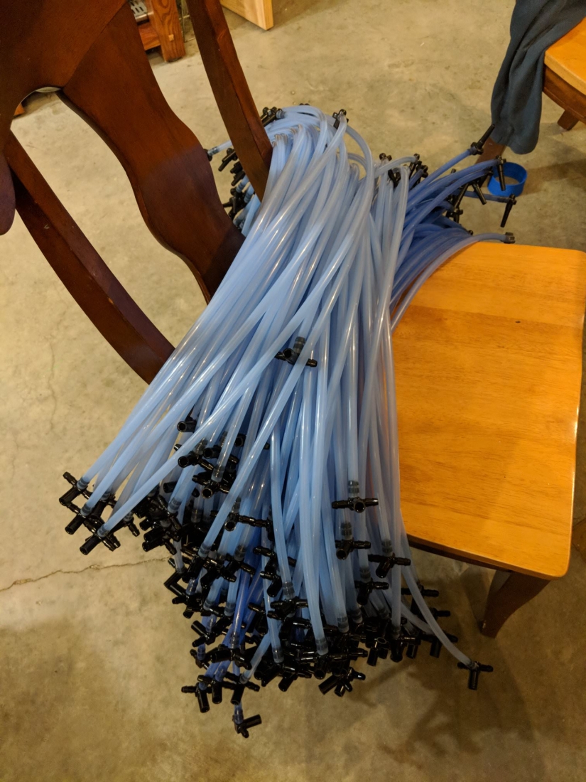 Milk a tree, or How to collect maple juice for a delicious syrup Milk a tree, or How to collect maple juice for a delicious syrup