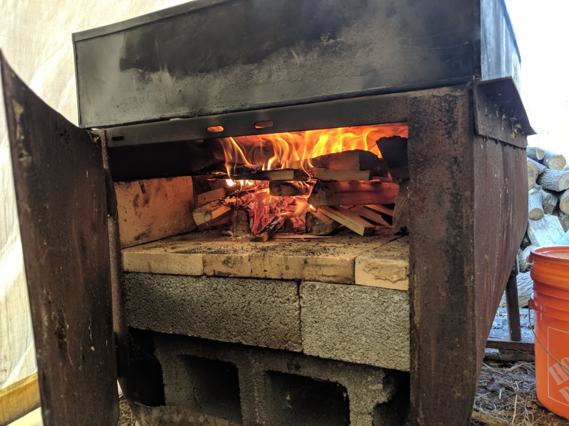 Milk a tree, or How to collect maple juice for a delicious syrup Milk a tree, or How to collect maple juice for a delicious syrup