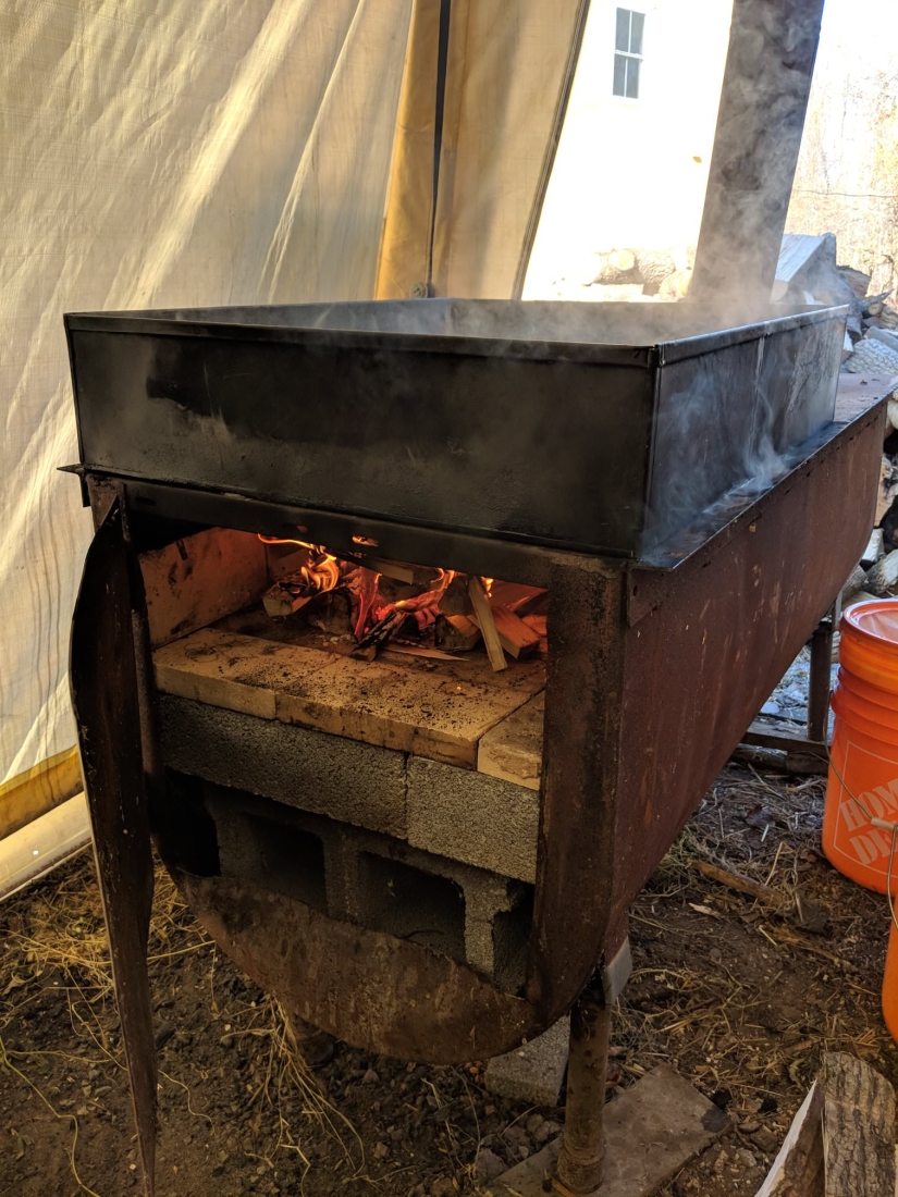 Milk a tree, or How to collect maple juice for a delicious syrup Milk a tree, or How to collect maple juice for a delicious syrup