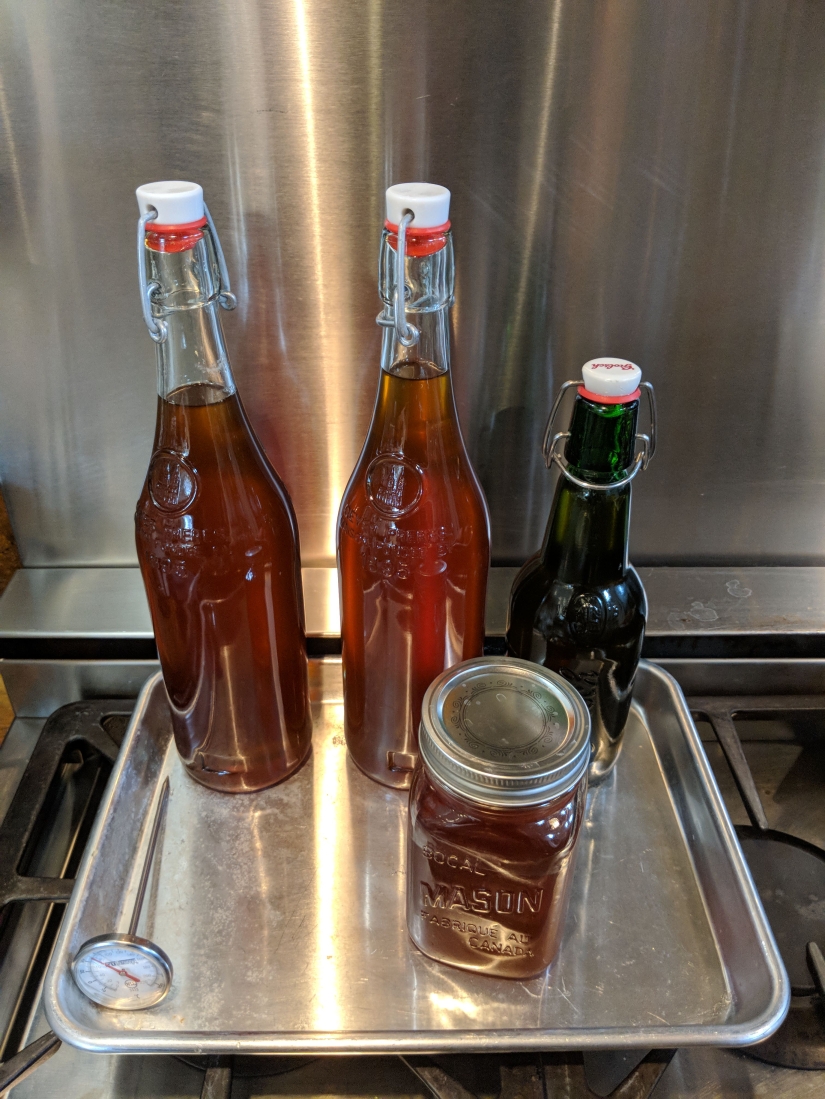 Milk a tree, or How to collect maple juice for a delicious syrup Milk a tree, or How to collect maple juice for a delicious syrup