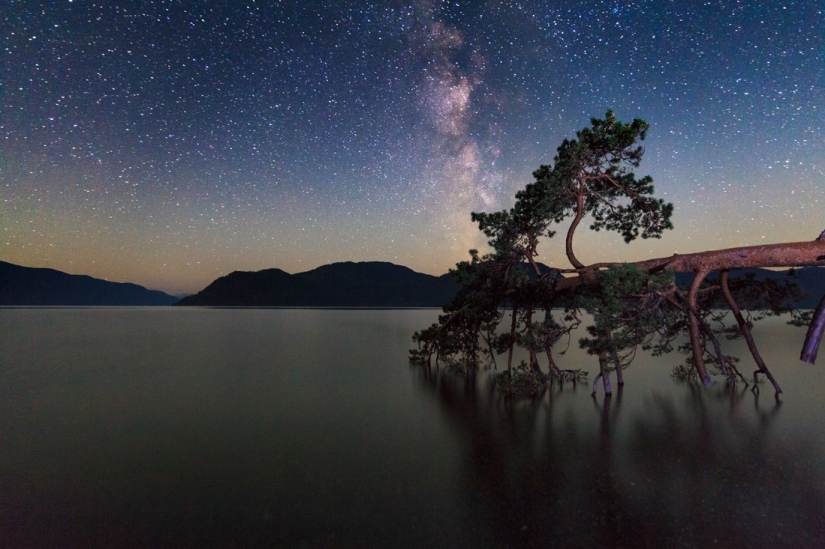 Millones de estrellas sobre Altai