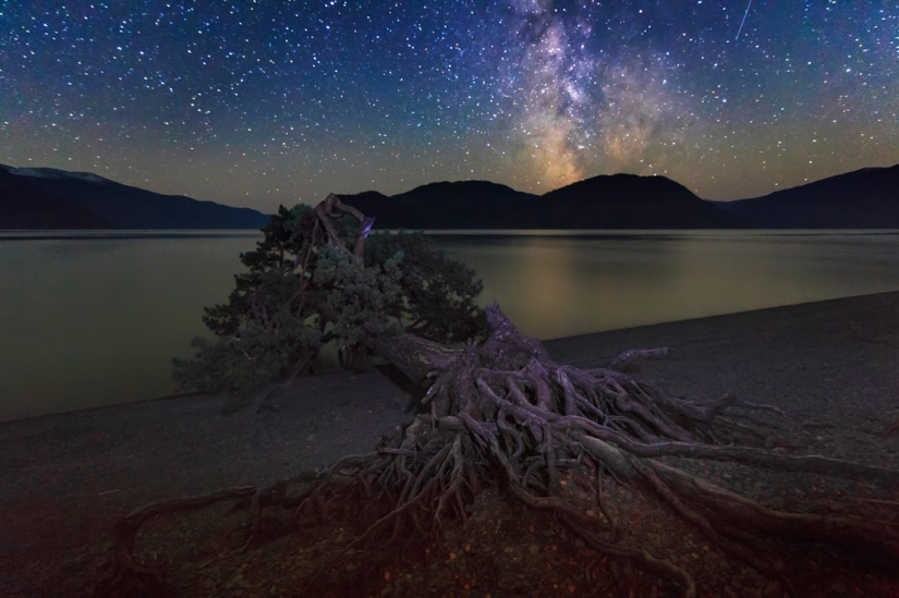 Millones de estrellas sobre Altai