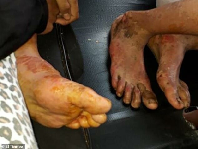 Miraculous rescue: a woman and her three children wandered through the jungle for more than a month Miraculous rescue: a woman and her three children wandered through the jungle for more than a month