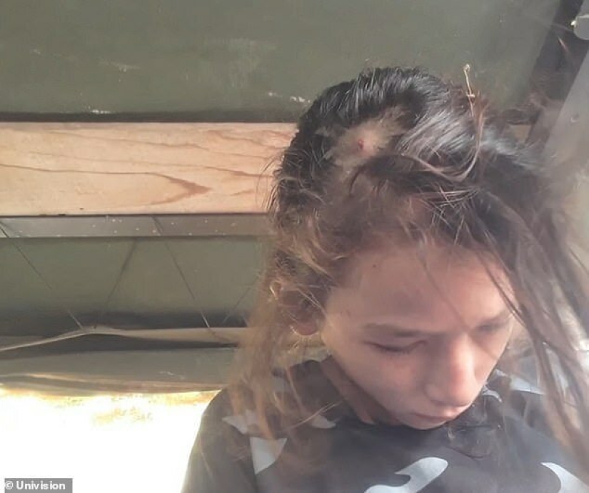 Miraculous rescue: a woman and her three children wandered through the jungle for more than a month Miraculous rescue: a woman and her three children wandered through the jungle for more than a month