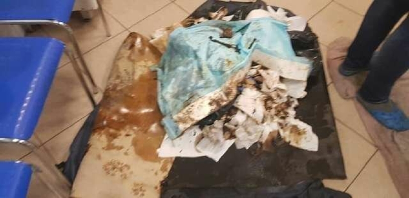 Miraculous rescue of a dog from a tar trap