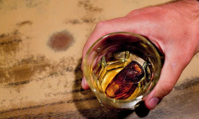 Mis pies en la boca: la gloriosa historia del club de alcohólicos canadienses"Dedo amargo"