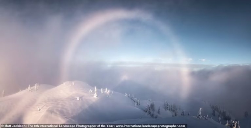 Misty valleys, magical forests and monstrous storms: Incredible 2021 International Landscape Photographer of the Year winners announced