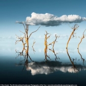 Misty valleys, magical forests and monstrous storms: Incredible 2021 International Landscape Photographer of the Year winners announced