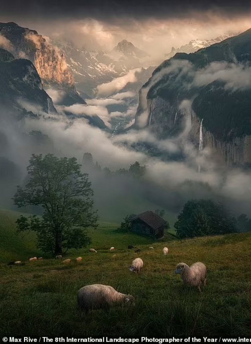 Misty valleys, magical forests and monstrous storms: Incredible 2021 International Landscape Photographer of the Year winners announced