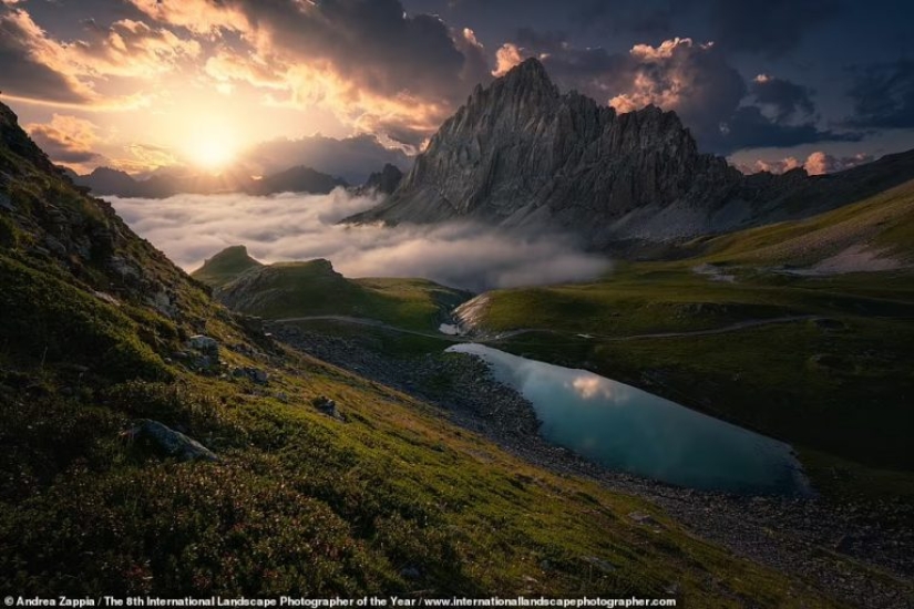Misty valleys, magical forests and monstrous storms: Incredible 2021 International Landscape Photographer of the Year winners announced