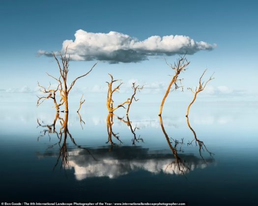 Misty valleys, magical forests and monstrous storms: Incredible 2021 International Landscape Photographer of the Year winners announced