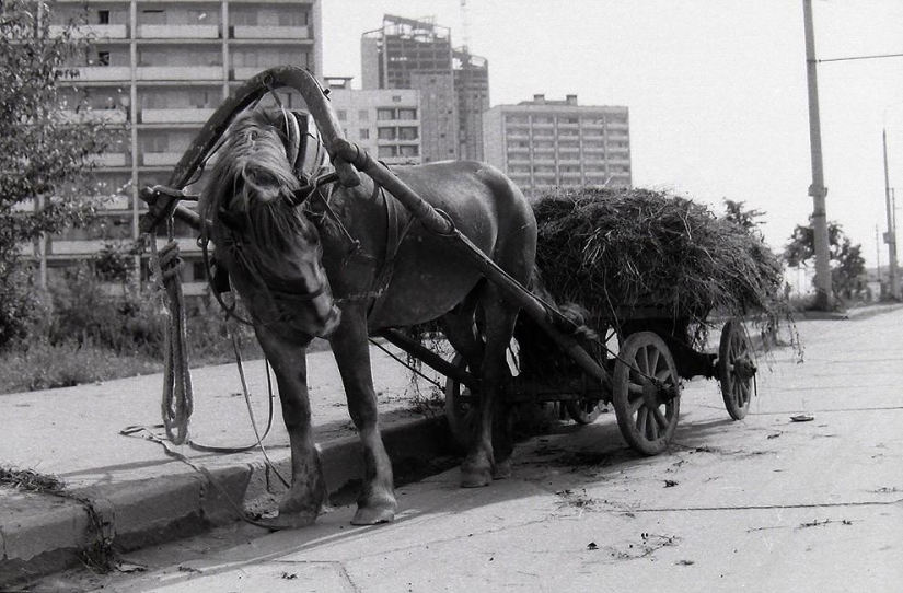 Moscow South-West in the 1970s