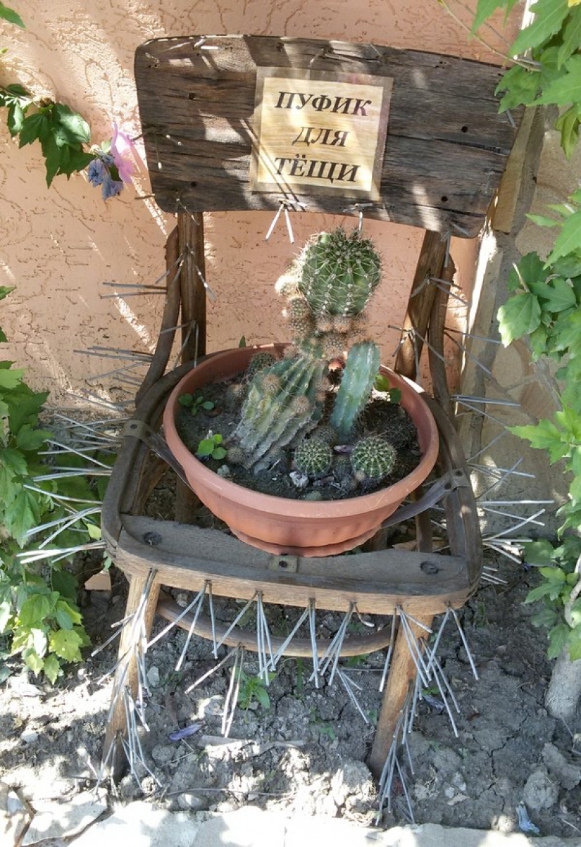 Mother-in-law of the year: caring Scottish woman fed drunk son-in-law at the wedding Mother-in-law of the year: caring Scottish woman fed drunk son-in-law at the wedding