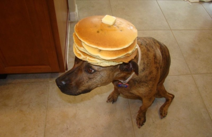 ¡Mírate, Carnestolendas! Bueno, vamos a chistes sobre panqueques ¡Mírate, Carnestolendas! Bueno, vamos a chistes sobre panqueques