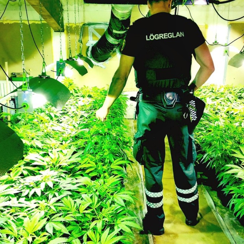 más de 15 fotos que demuestran que los policías más lindos trabajan en Reikiavik