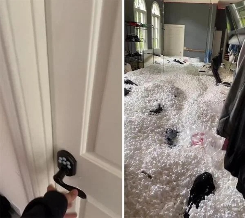 Muéstrame tu casa! Los 20 mejores lugares en los apartamentos de los usuarios de Tick-Tok Muéstrame tu casa! Los 20 mejores lugares en los apartamentos de los usuarios de Tick-Tok